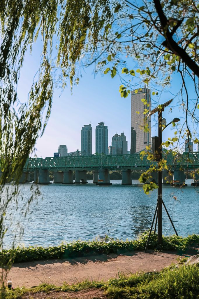 버드나무 사이로 보이는 노들섬 한강대교 전경