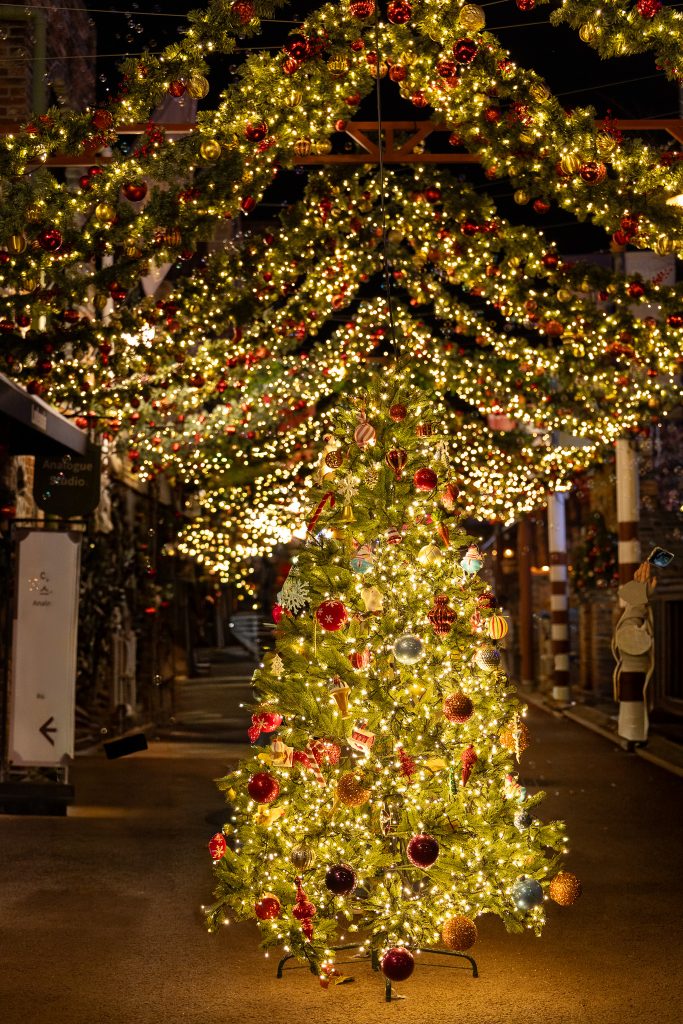 여주-루덴시아-크리스마스-트리-야경