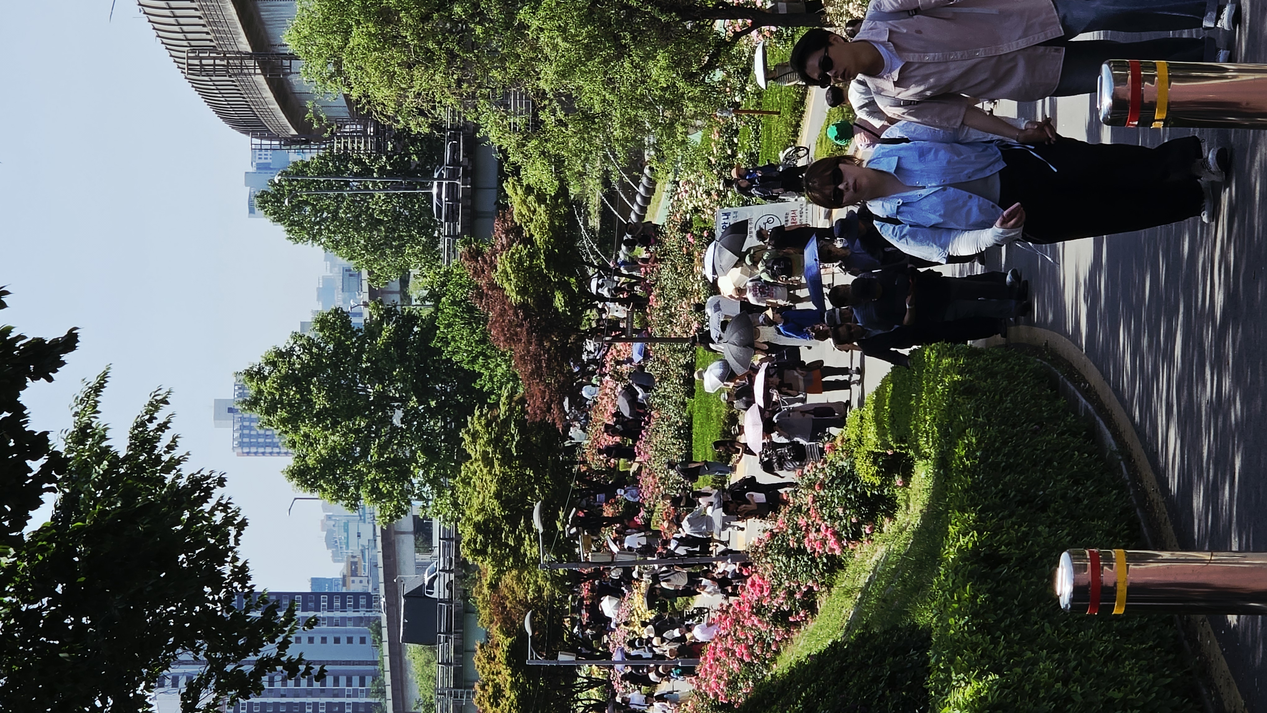 중화체육공원 메인무대 양측 장미길과 관람객 인파