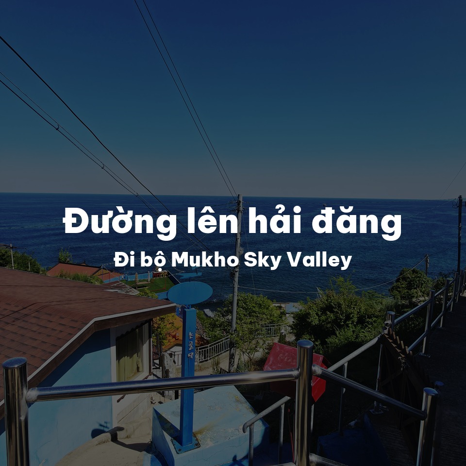 Đối diện cảng Mukho — nếm thử hào sảng, mua sắm hải sản khô
