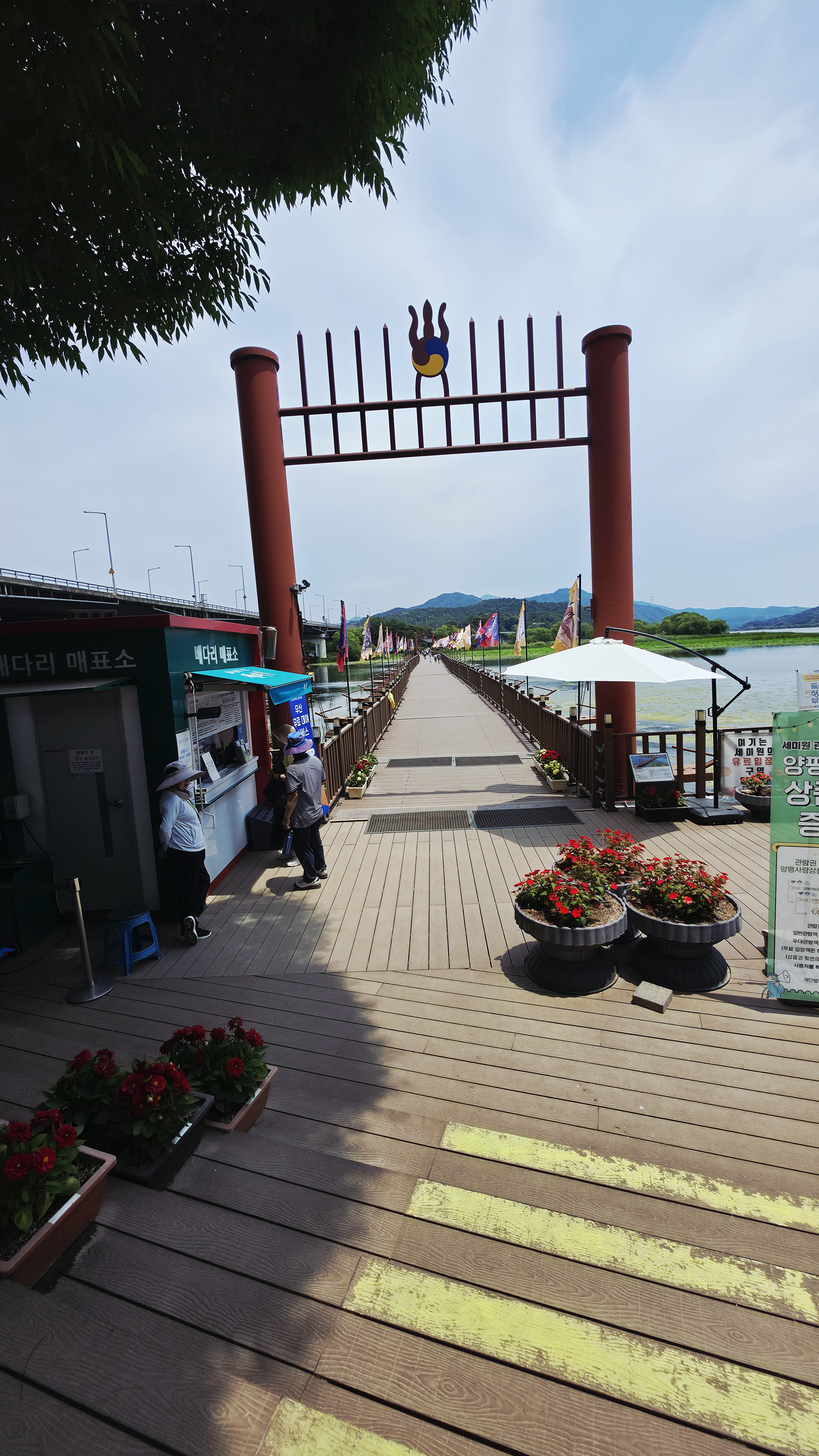 양평 두물머리 노점 연핫도그 거리와 연꽃 화분